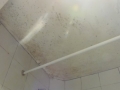 You can see the mold in the shower of our bathroom