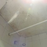 The mold from the shower in the bathroom